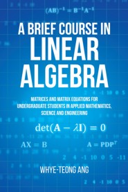A Brief Course in Linear Algebra (PBK)